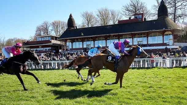 csm__RBY9625_10a6c41f6d