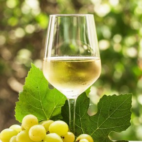 How the Climate Crisis is Bringing Winemaking to&nbsp;Scandinavia