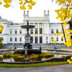 The Complete Guide to Swedish&nbsp;Universities