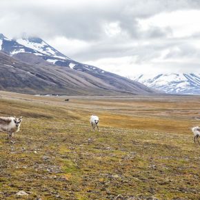 Post Vaccine Travel: Norway’s&nbsp;Svalbard