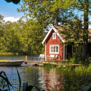 Andrew Brown Goes Fishing in&nbsp;Utopia