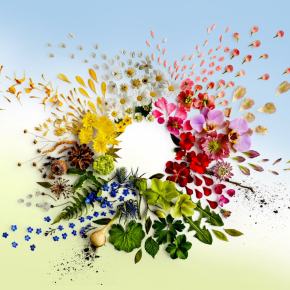 The Enduring Success of ‘Sommar i&nbsp;P1’